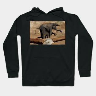 Elephant Mother and Son Hoodie